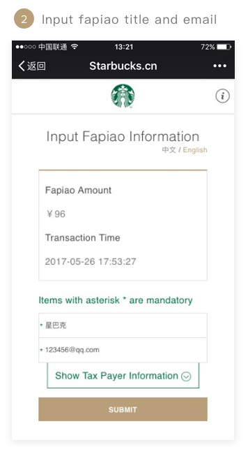 Input fapiao title and email
